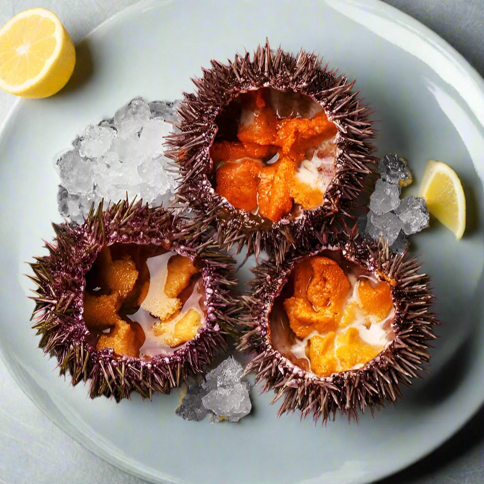 Bafun Uni (100g per tray)