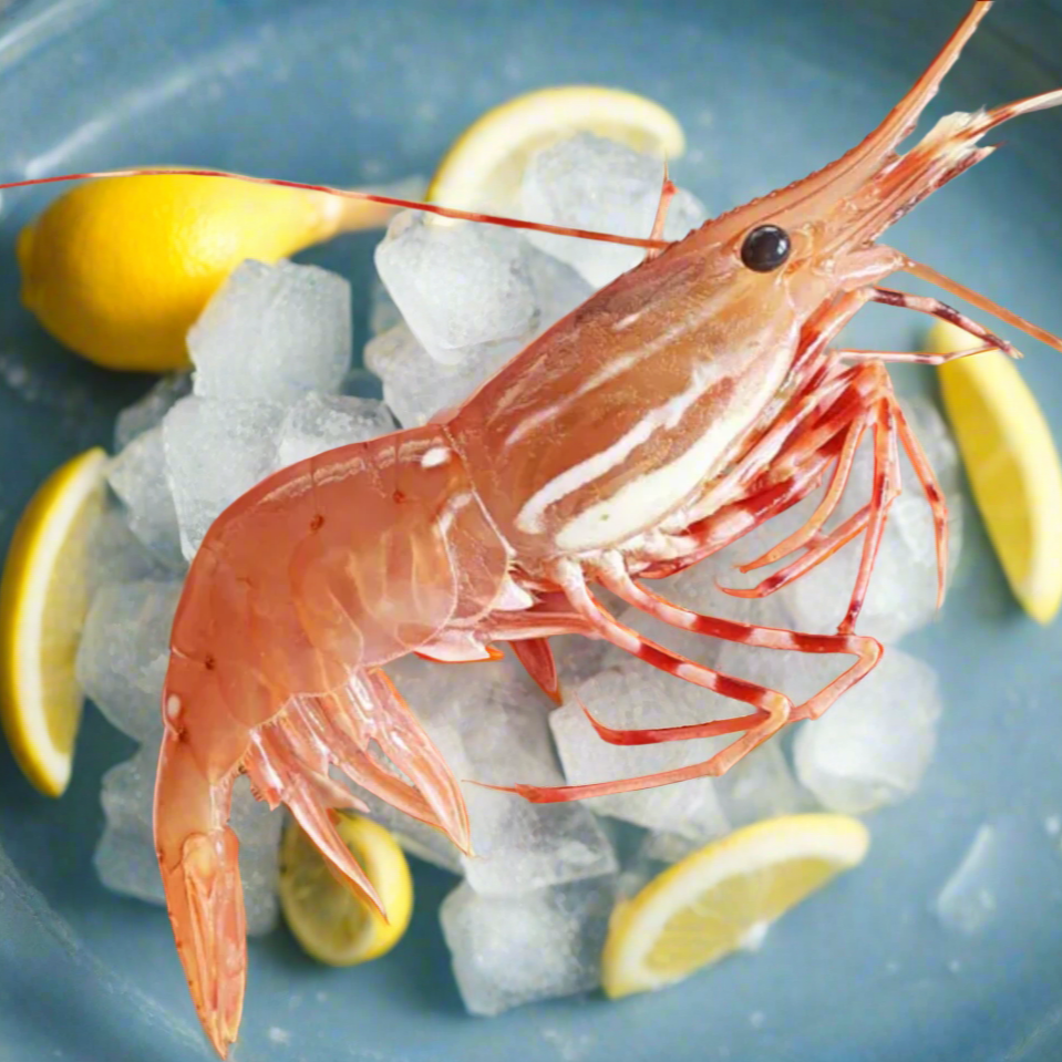 Botan Ebi - Spotted Prawns (1 box)