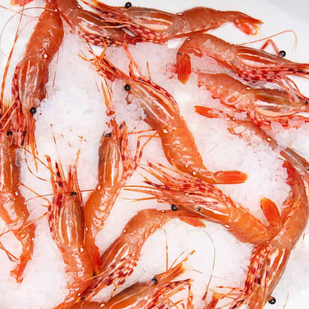 Botan Ebi - Spotted Prawns (1 box)
