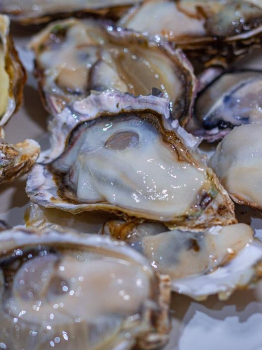 Murotsu Bay Oysters